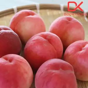 딱딱이 털복숭아 대과 2kg (6-9과)