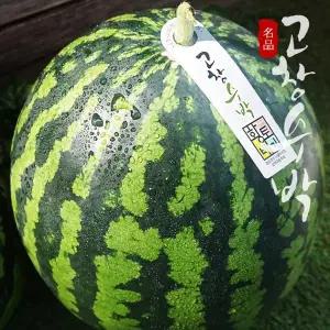 [하프클럽/]명품 고창 수박 로얄특대과 10kg미만 (선물용)