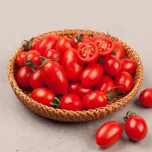 스테비아 대추방울토마토 레드 스윗마토 2kg (500gx4팩)