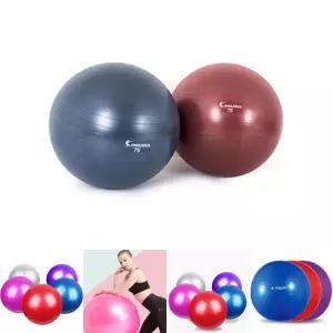 아이워너 안티버스트 짐볼 75cm/짐/볼/헬스/스트레칭/운동/공/마사지/튼튼/멀티/운동용/다이어트/리듬