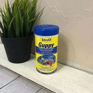 테트라 구피75g 250ml)
