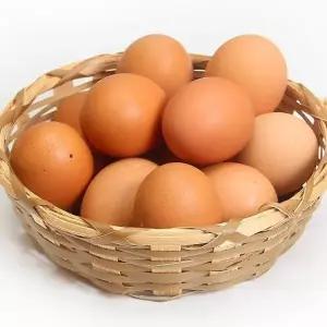[T]에그온 난각번호1번 무항생제 유정란 60구