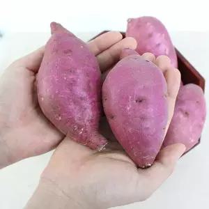 [친환경팔도][팔도농장] 세척 꿀 밤고구마 (상)3kg