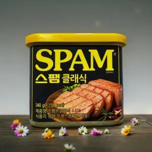 CJ제일제당 스팸클래식 340g 20개