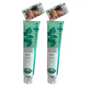SIAM COSMECEUTICAL 덴티스테 뉴 플러스 화이트 치약 200g 2개
