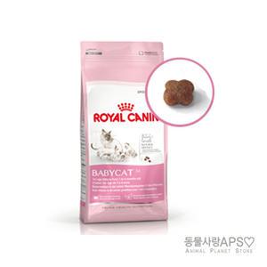 로얄캐닌 베이비캣4kg /고양이사료