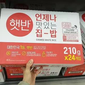 CJ 햇반실속 210g x 24입