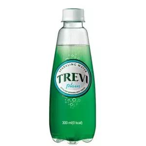 [하프클럽/기타]트레비 플레인 300ml 20개