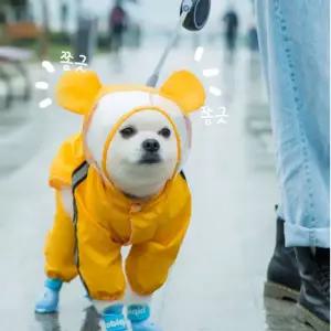 마우스 강아지 강아지레인코트 레인코트 강아지우비망토 우비 깜직한