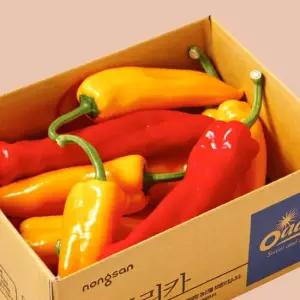 오아로 트리벨리 파프리카 1.2kg 미니 고당도