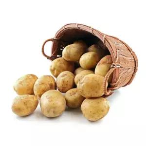 포슬포슬 맛있는 감자 5kg 특