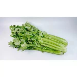국내산 샐러리 2kg