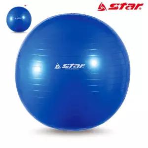 블루 55cm 짐볼 짐볼 헬스 마사지 홈트 레이닝