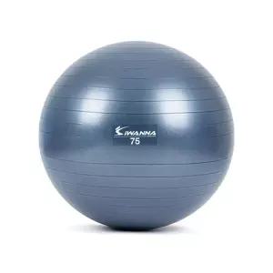 [하프클럽/알티피아]아이워너 안티버스트 파스텔 짐볼 75cm 블루인디고