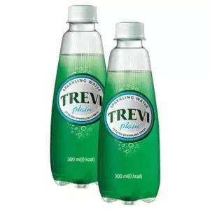 자몽 롯데 트레비 플레인 300ml 20PET