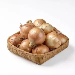 [굿파머] 국내산 햇양파 10kg (중)