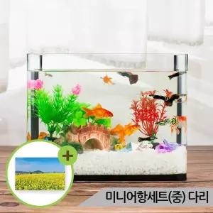 [하프클럽/올블루]미니어항세트(중) 다리장식 유리어항 구피 수족관세트