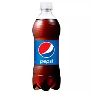 콜라 롯데 펩시콜라 업소용 x 500ml 20PET