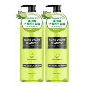 올데이 스멜커버 청소년샴푸 라임바질앤만다린 400ml 2개 [분]