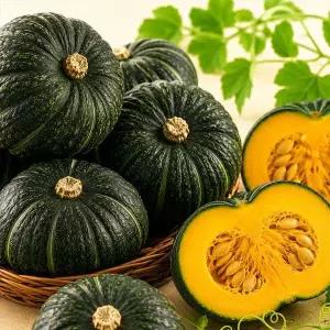 제주 미니 단호박 밤호박 보우짱 2kg