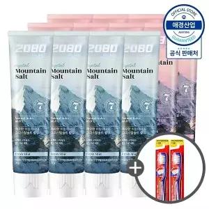 2080 퓨어 솔트 치약 120g x12개 (+ 칫솔2입 증정)