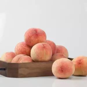 달콤한 대극천 반납작 복숭아 4kg 랜덤과