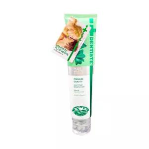 SIAM COSMECEUTICAL 덴티스테 뉴 플러스 화이트 치약 200g 4개