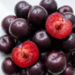 신품종 체리자두 대과(알당 60g내외) 2kg