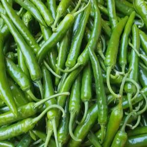 국내산 청양고추 특품 1kg
