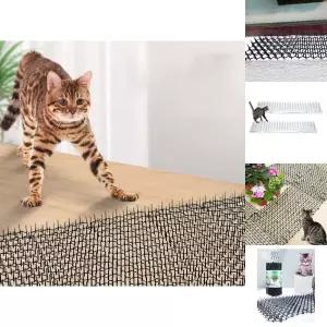 (6개입) 고양이 비둘기 퇴치시 캣버드 스파이크/배란다/실외기/조류/퇴치기/야생/동물/퇴치/용품/버드/학교