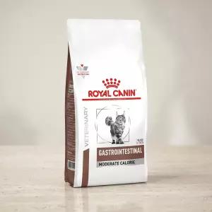 로얄캐닌 CAT 2KG 캣 가스트로인테스티널 모더레이트 칼로리