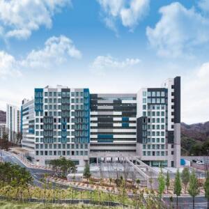 평창 더 화이트 호텔