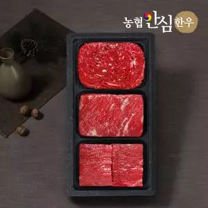 [롯데백화점]농협안심한우 1등급 농협안심한우 감사정육 세트 1.2kg (불고기,국거리,장조림)