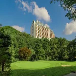 양지파인리조트(Yangji Pine Resort)