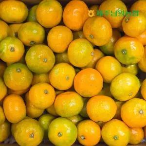 제주남원농협 산지직송 제주 고당도 하우스 감귤 소과 2.5kg (실중량)