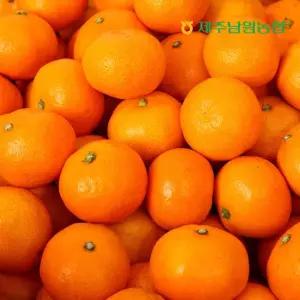 제주남원농협 하우스 감귤 소과 2.5kg (실중량)