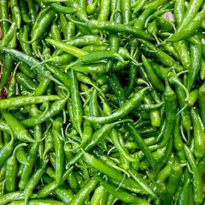 국내산 청양고추 상 10kg