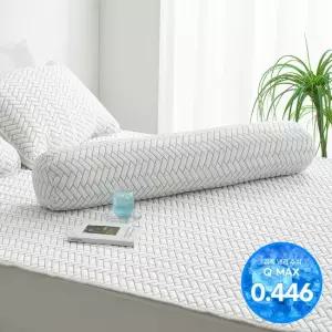 [애끌리아] 레그노 HR 3중직 냉감 바디필로우 원형(솜포함)