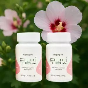 무궁핏 2박스 90정 무궁화핏 후기 효과 내돈내산