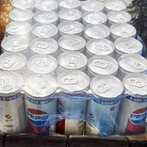 펩시 콜라 캔 245ml 30입 업소용 음료 업소 사무실