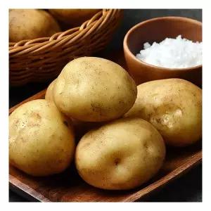 26년 햇 감자 5kg (대)