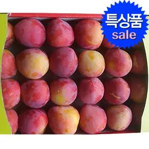 자두 4kg 중대과(90g내외) 홍로센/가나조생 특품 당도보장 선물용