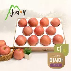 산지애 알뜰사과 미시마(대과) 4kg(11~16과)134447
