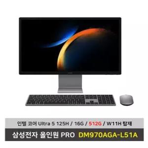 삼성전자 올인원 PRO DM970AGA-L51A 울트라5 SSD512G교체 16G Win11탑재 일체형PC - KW