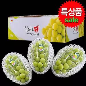 포도 샤인머스켓 1kg 2~3송이 2026첫수확 특상품 고당도 선물