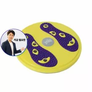 지금 필요한 허리운동 트위스트 원반 피트 에버라스트