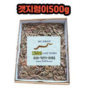 갯지렁이 500g 미끼 청개비 낚시 생물