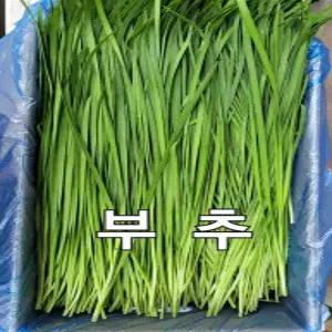 부추 나주 부추 4kg 박스 야채맘