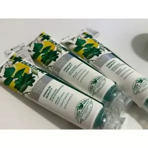 덴티스테 불소치약 시트러스후레쉬 200g 3개 입냄새제거