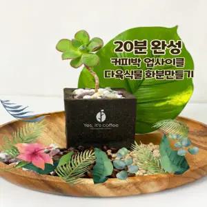 [아트박스]/예스잇츠커피 n 커피박 화분 만들기 다육식물 20분 완성 키트